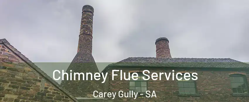Chimney Flue Services Carey Gully - SA