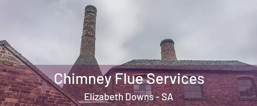 Chimney Flue Services Elizabeth Downs - SA