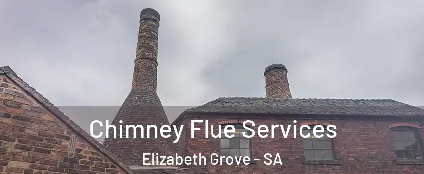 Chimney Flue Services Elizabeth Grove - SA