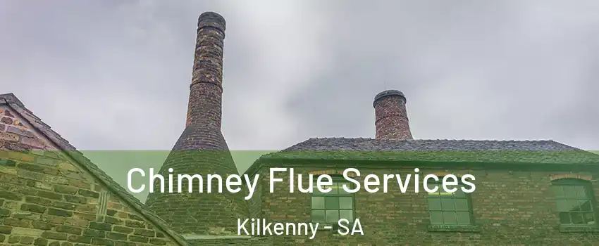  Chimney Flue Services Kilkenny - SA