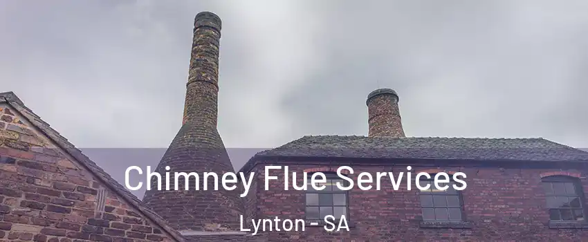  Chimney Flue Services Lynton - SA