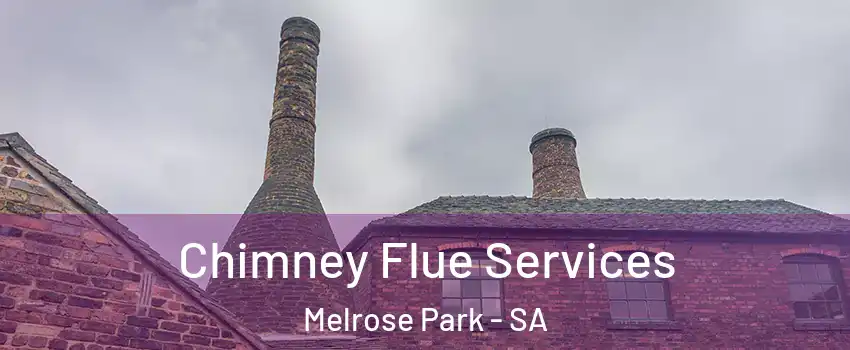  Chimney Flue Services Melrose Park - SA