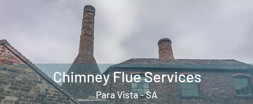  Chimney Flue Services Para Vista - SA