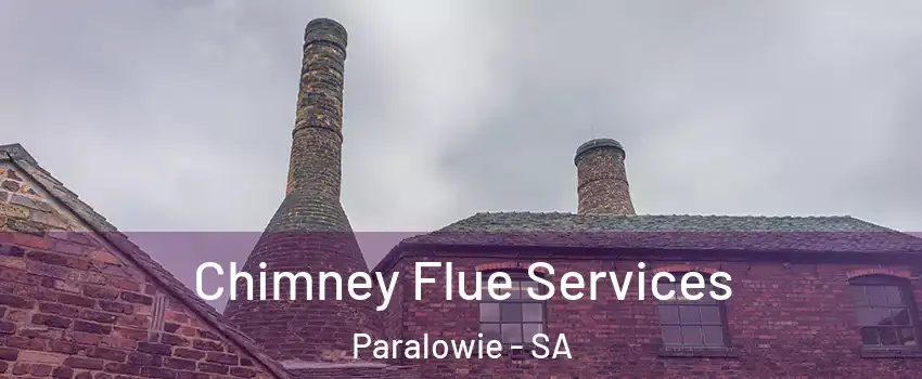 Chimney Flue Services Paralowie - SA