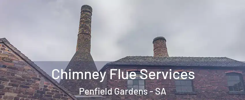  Chimney Flue Services Penfield Gardens - SA
