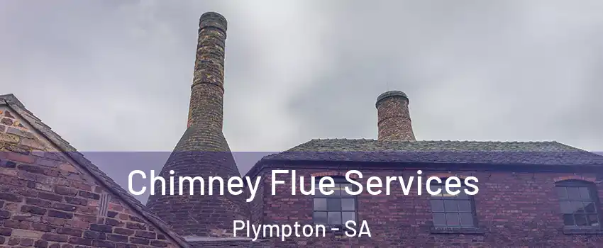  Chimney Flue Services Plympton - SA