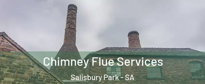  Chimney Flue Services Salisbury Park - SA