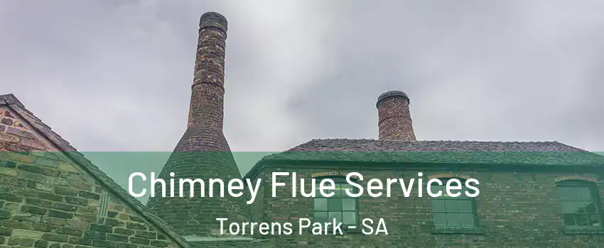  Chimney Flue Services Torrens Park - SA