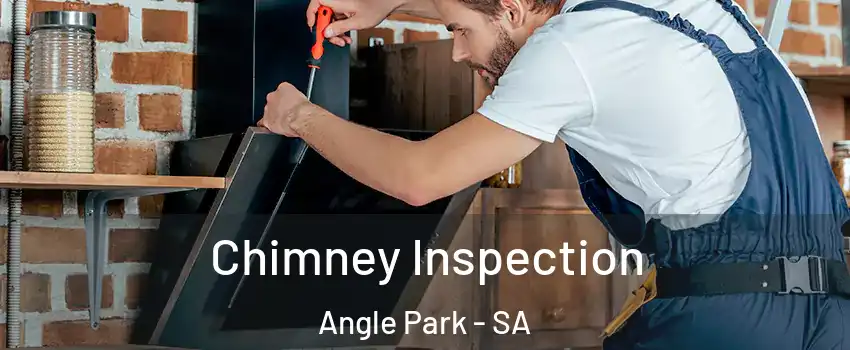 Chimney Inspection Angle Park - SA