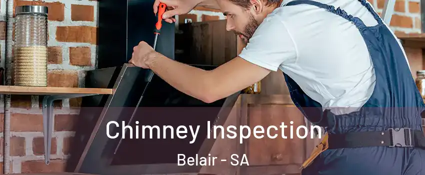 Chimney Inspection Belair - SA