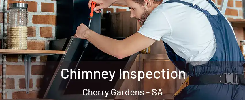 Chimney Inspection Cherry Gardens - SA
