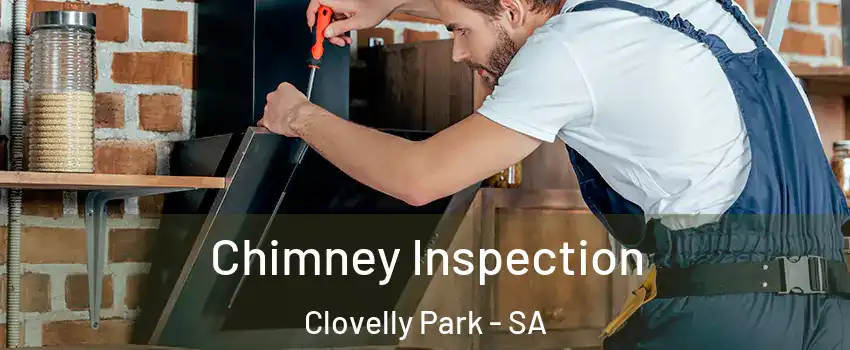 Chimney Inspection Clovelly Park - SA