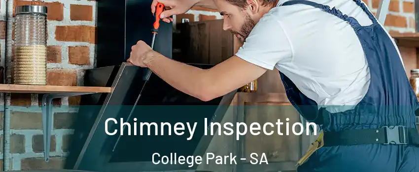 Chimney Inspection College Park - SA