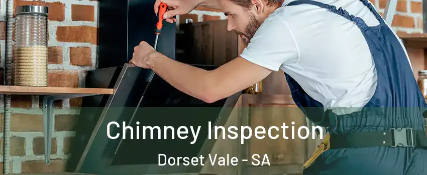 Chimney Inspection Dorset Vale - SA