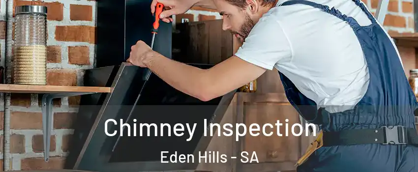 Chimney Inspection Eden Hills - SA