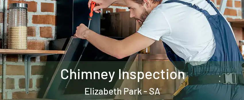 Chimney Inspection Elizabeth Park - SA