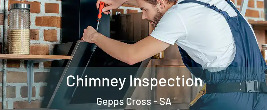 Chimney Inspection Gepps Cross - SA