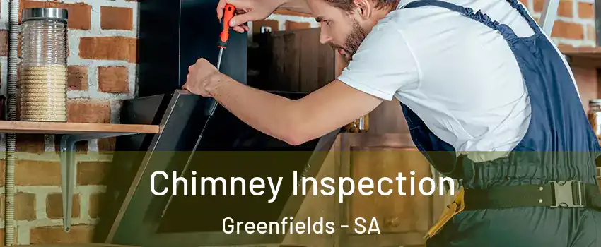 Chimney Inspection Greenfields - SA