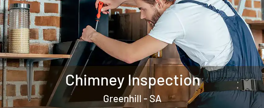 Chimney Inspection Greenhill - SA
