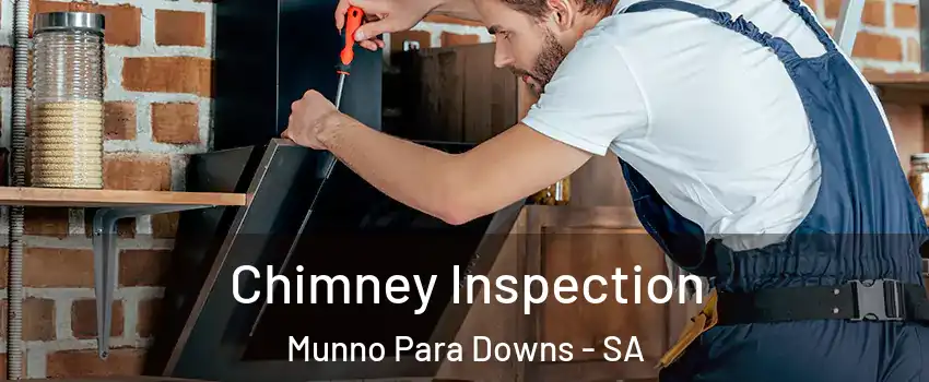  Chimney Inspection Munno Para Downs - SA