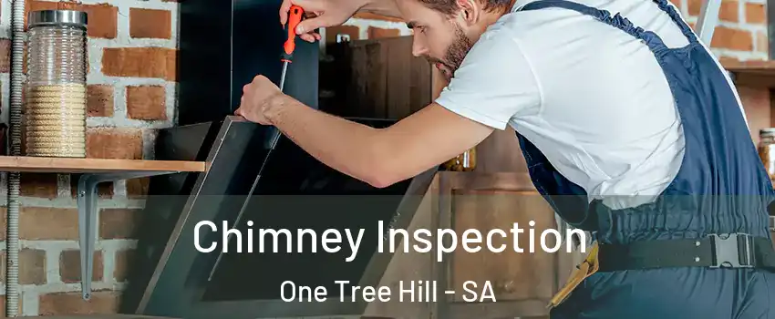 Chimney Inspection One Tree Hill - SA