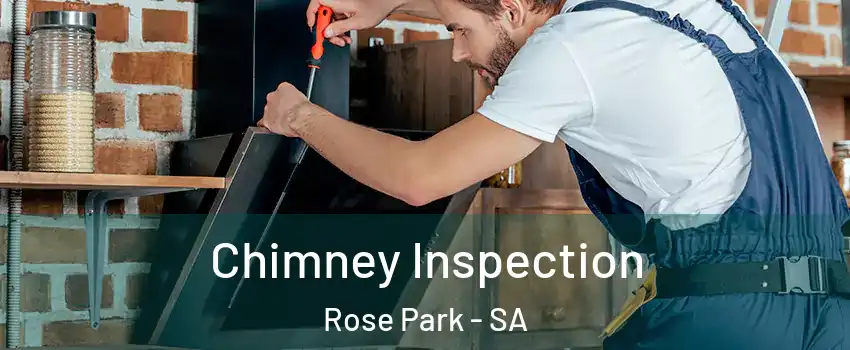  Chimney Inspection Rose Park - SA