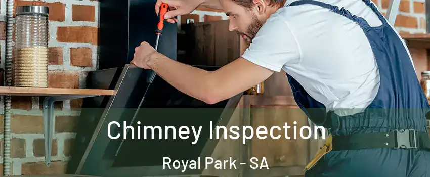  Chimney Inspection Royal Park - SA
