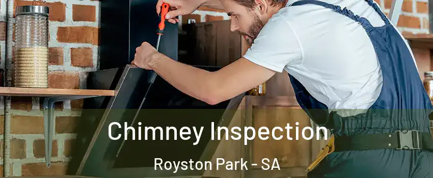  Chimney Inspection Royston Park - SA