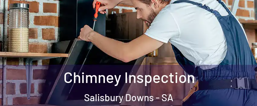  Chimney Inspection Salisbury Downs - SA