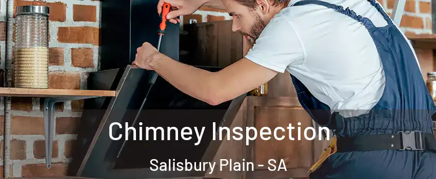  Chimney Inspection Salisbury Plain - SA