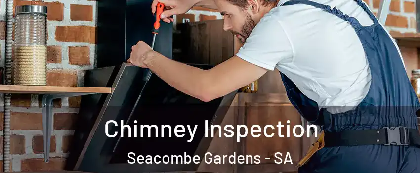  Chimney Inspection Seacombe Gardens - SA