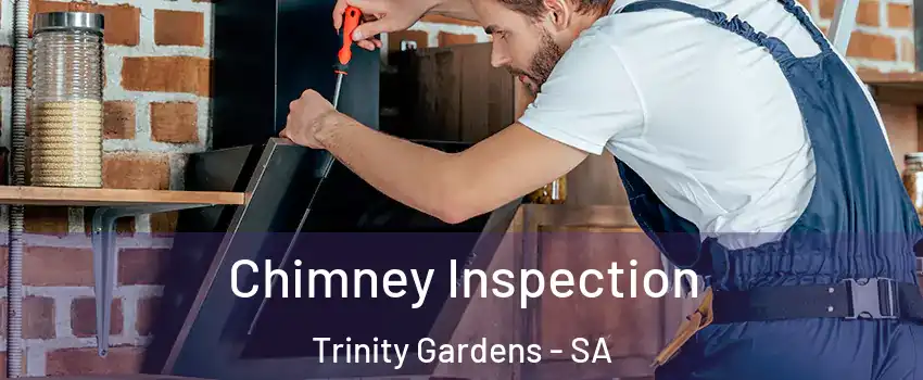  Chimney Inspection Trinity Gardens - SA