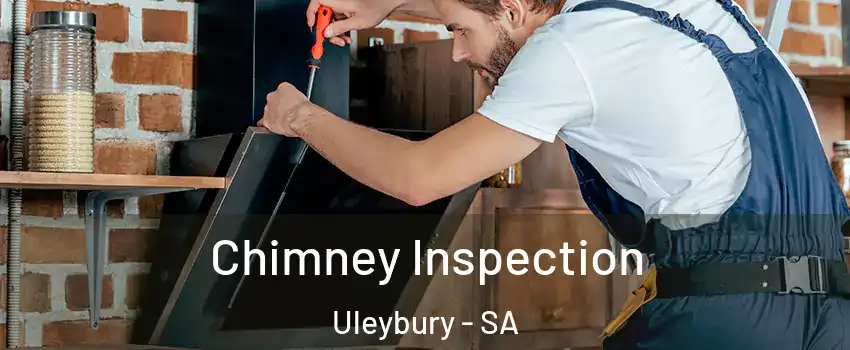  Chimney Inspection Uleybury - SA