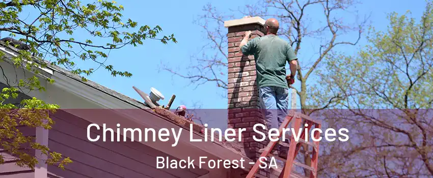 Chimney Liner Services Black Forest - SA