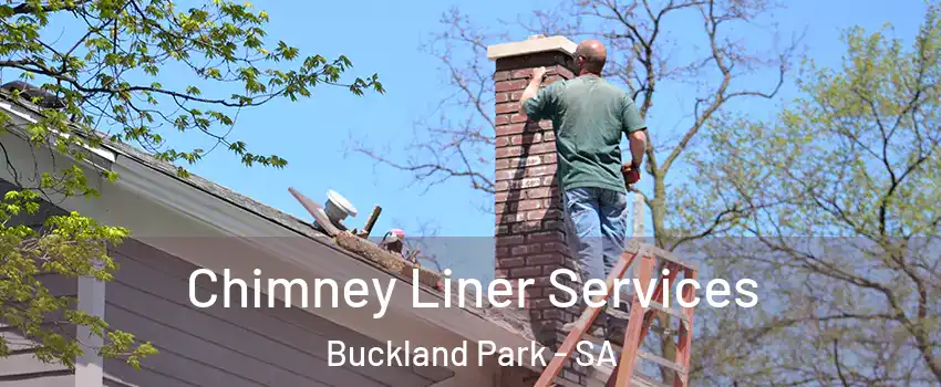 Chimney Liner Services Buckland Park - SA