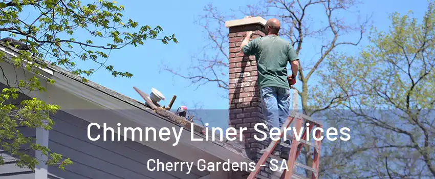 Chimney Liner Services Cherry Gardens - SA
