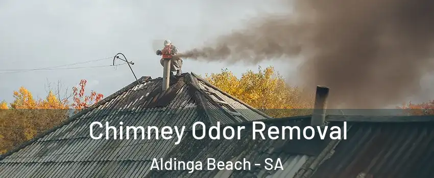Chimney Odor Removal Aldinga Beach - SA