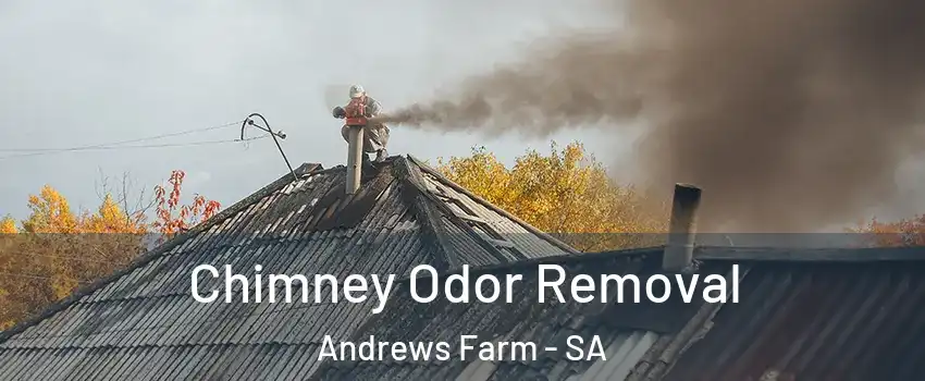  Chimney Odor Removal Andrews Farm - SA