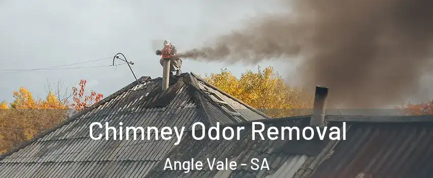 Chimney Odor Removal Angle Vale - SA