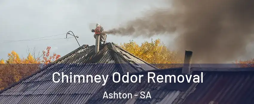 Chimney Odor Removal Ashton - SA