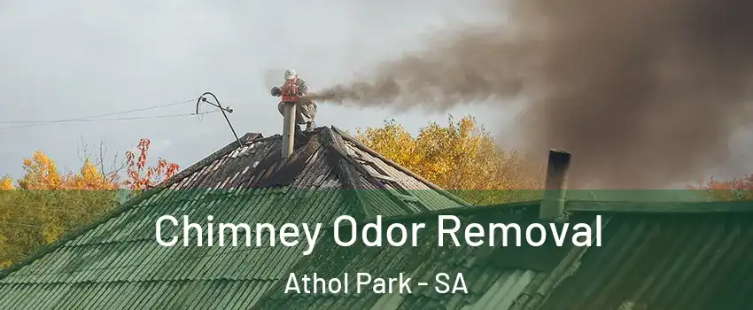 Chimney Odor Removal Athol Park - SA