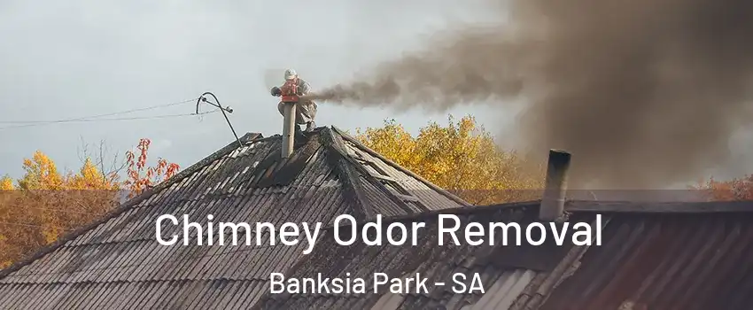 Chimney Odor Removal Banksia Park - SA