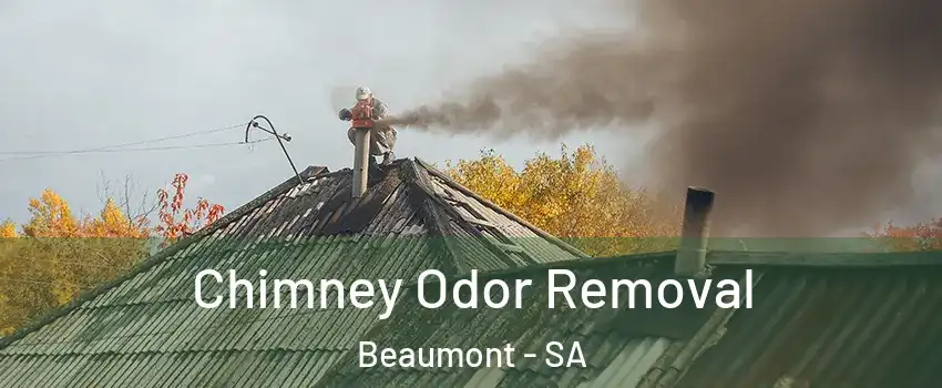 Chimney Odor Removal Beaumont - SA