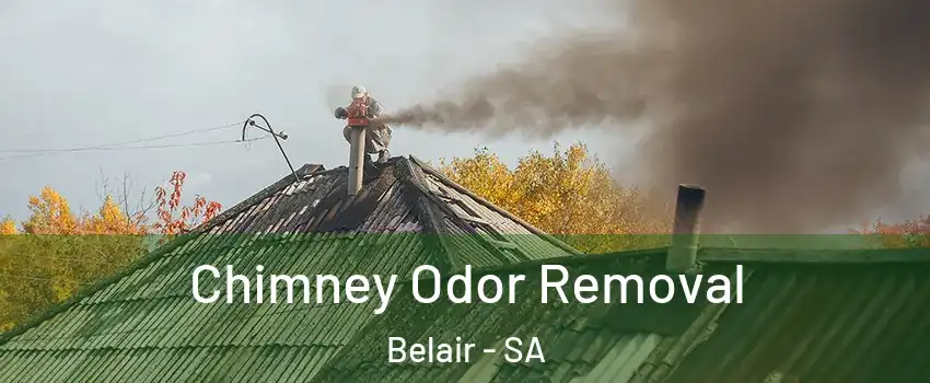 Chimney Odor Removal Belair - SA