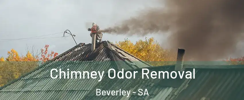 Chimney Odor Removal Beverley - SA