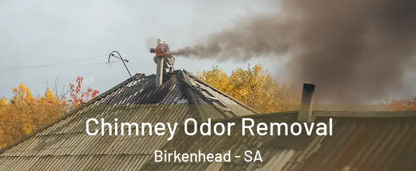 Chimney Odor Removal Birkenhead - SA