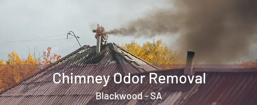 Chimney Odor Removal Blackwood - SA