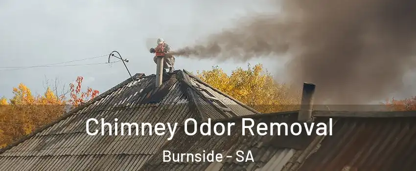 Chimney Odor Removal Burnside - SA