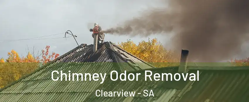 Chimney Odor Removal Clearview - SA
