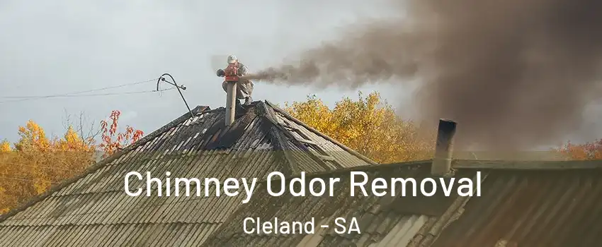 Chimney Odor Removal Cleland - SA